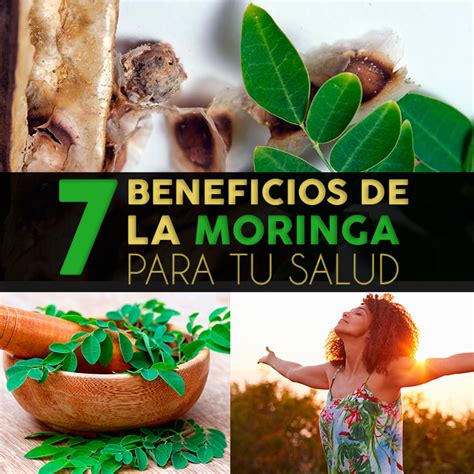 moringa beneficios para la salud.